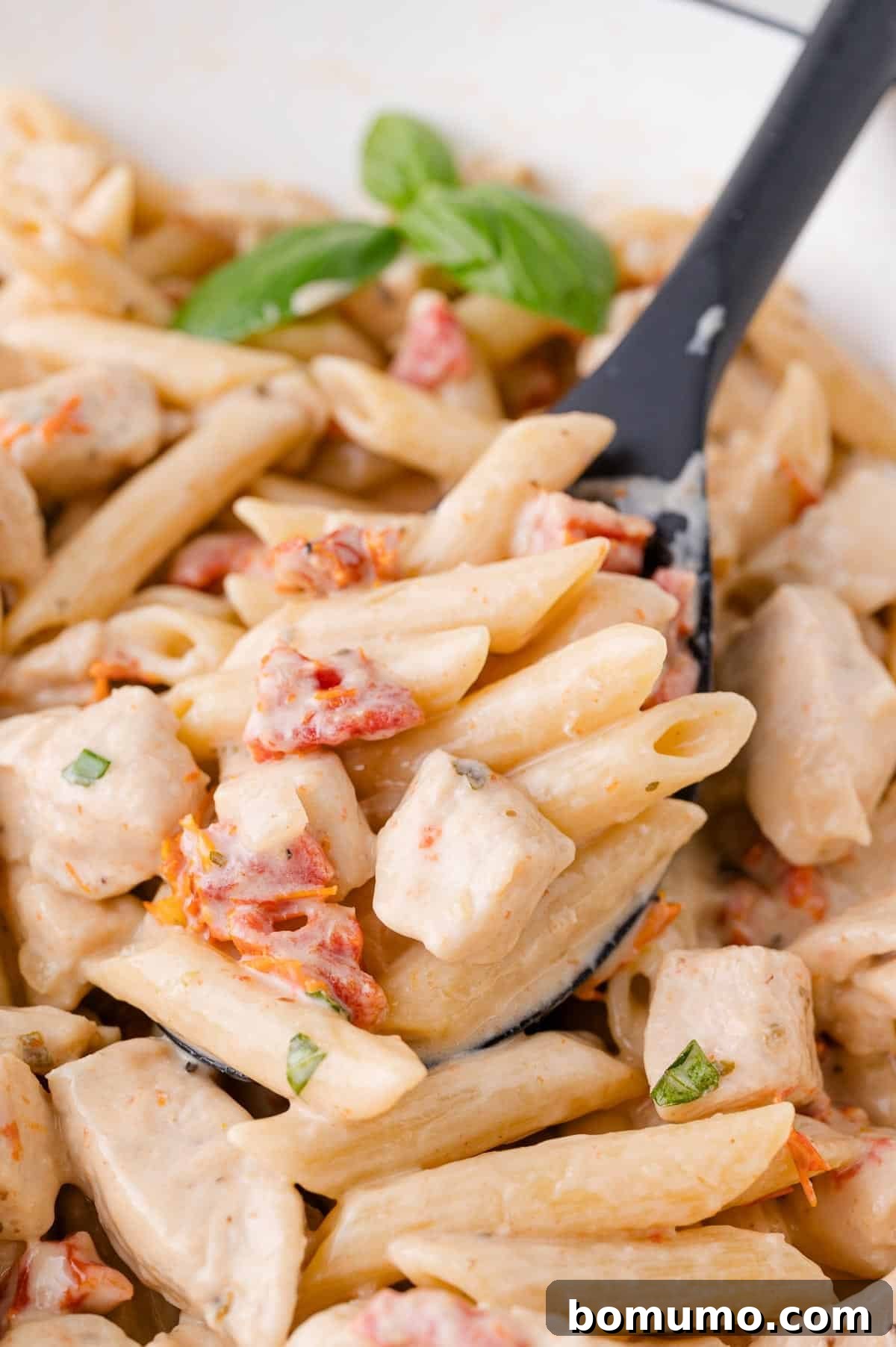 Close-up of creamy penne pasta with chicken and sun-dried tomatoes, garnished with fresh basil, being elegantly served with a black spoon, highlighting its inviting texture.