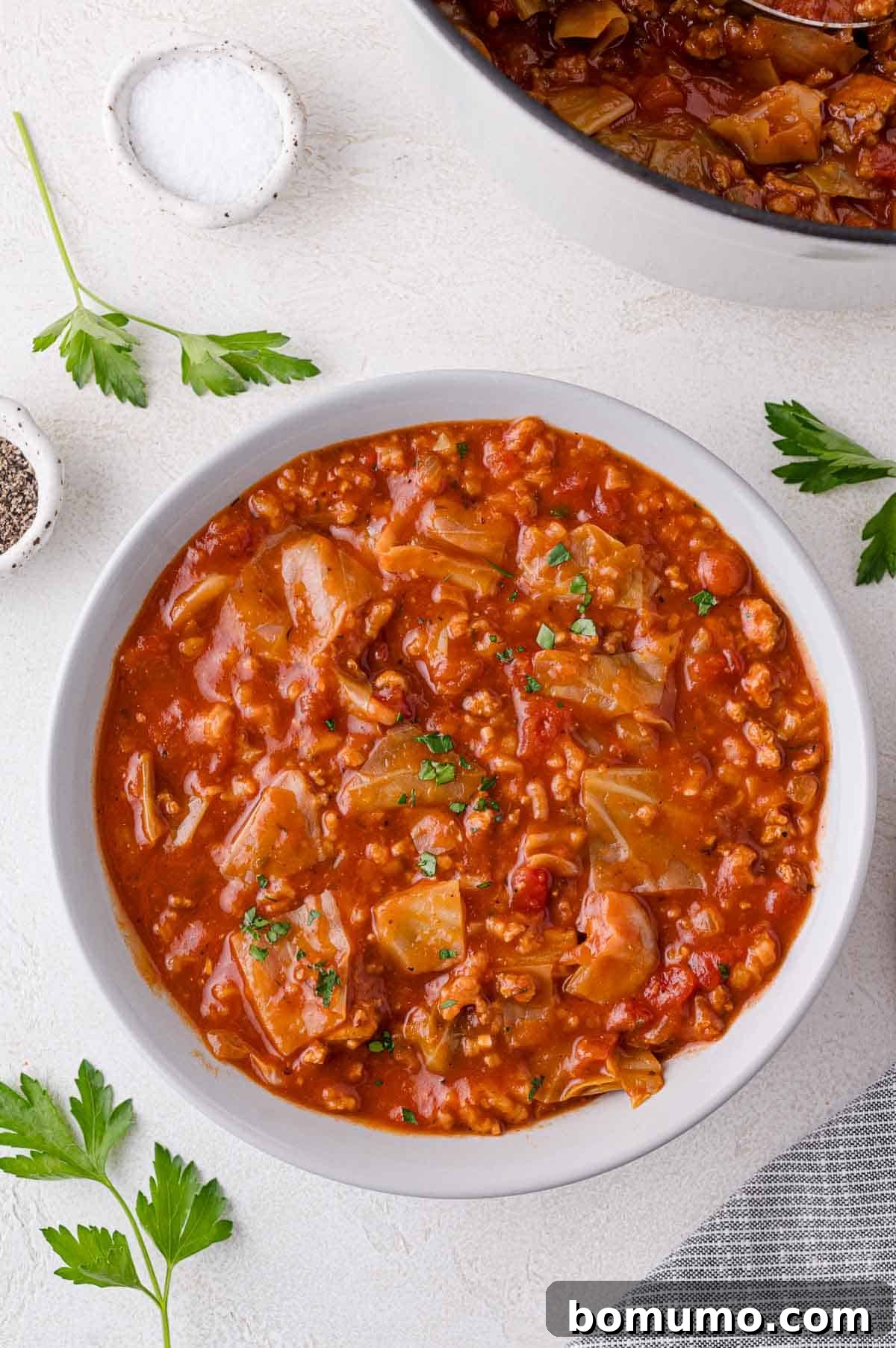 Deconstructed Cabbage Roll Soup 2 A beautiful bowl of hearty cabbage roll soup, garnished with fresh herbs, resting alongside parsley, salt, and pepper on a clean, light surface.