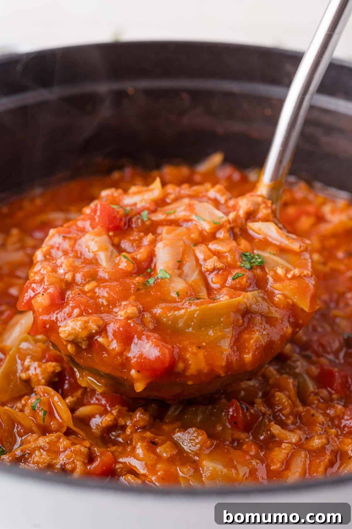Deconstructed Cabbage Roll Soup 12 A ladle gracefully lifts a generous portion of hearty, tomato-based cabbage roll soup, brimming with tender vegetables and savory meat, from a deep pot, ready to be served and enjoyed.