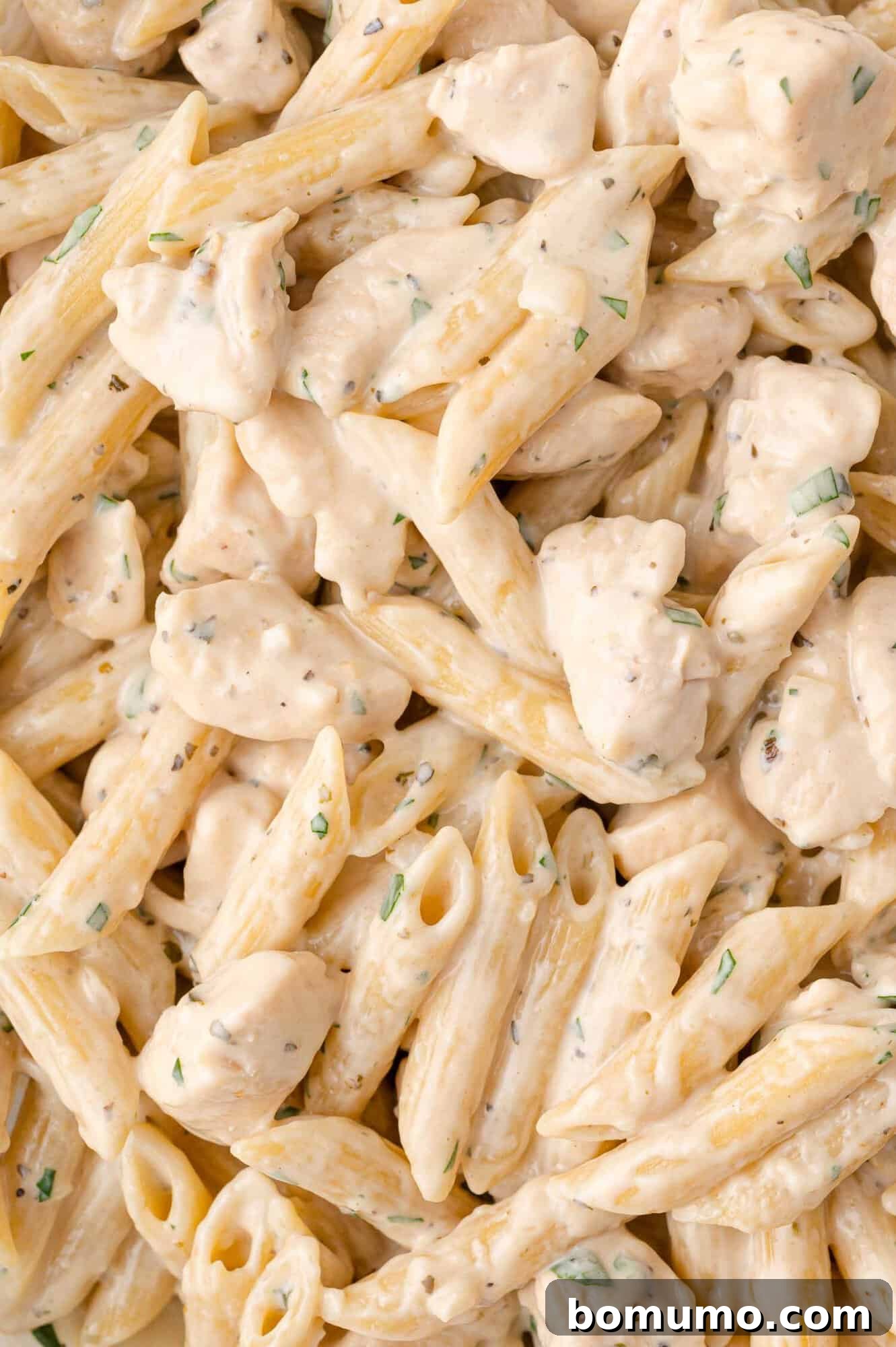 Creamy Chicken Skillet Pasta 15 An inviting close-up of creamy penne pasta, enveloped in a luscious white sauce and artfully garnished with fresh herbs, ready to be enjoyed as a delightful meal.