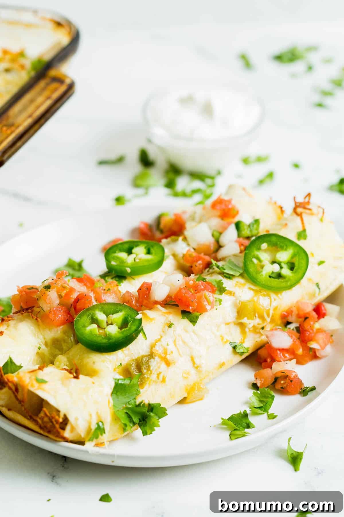 Plated chicken enchiladas verde