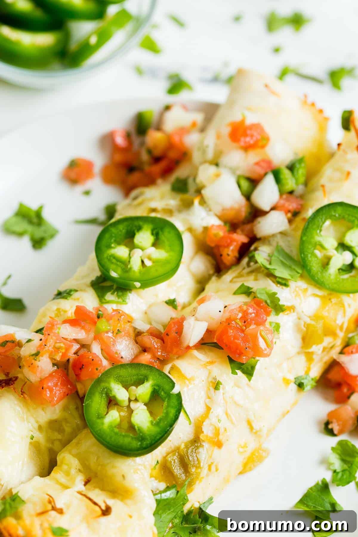 Close up of chicken enchiladas