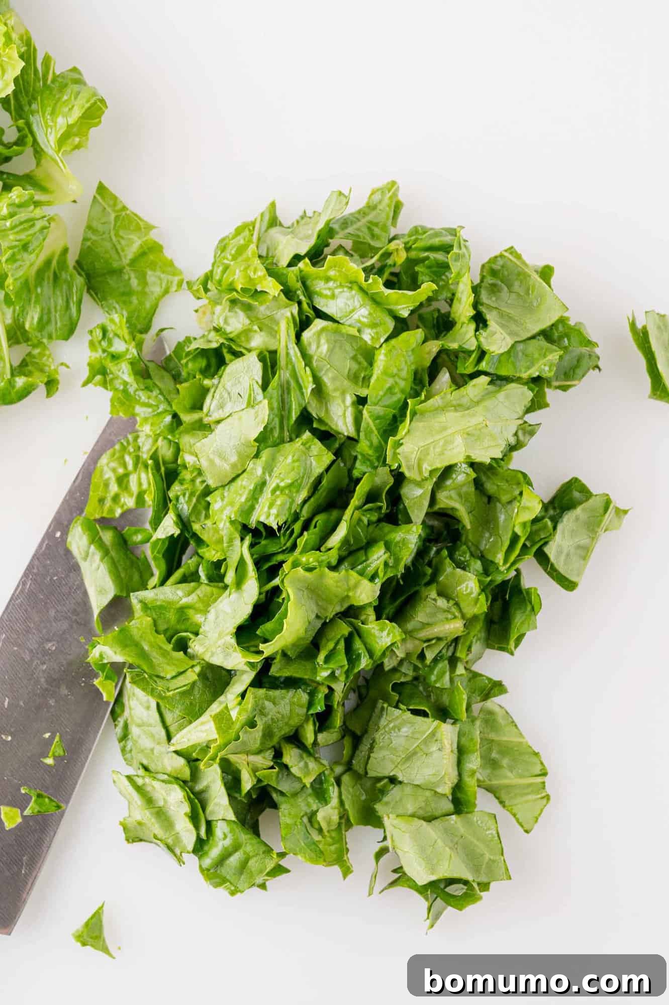 Freshly chopped green romaine lettuce, ready for the salad, displayed on a clean white surface next to a chef's knife.