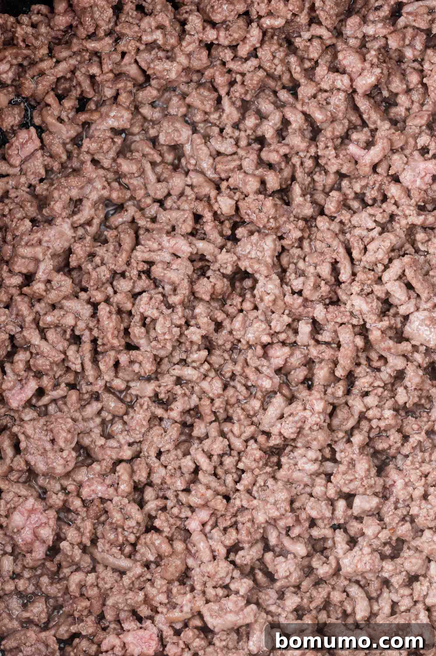 Close-up of cooked ground meat with a coarse, savory texture, perfectly browned and filling the frame, ready to absorb more flavors.