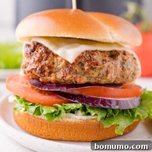 An air fryer turkey burger, complete with lettuce, tomato, red onion, a slice of cheese, and mayonnaise, all perfectly placed in a bun and served on a white plate.