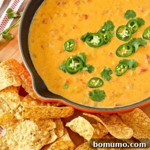 Healthy Butternut Squash Queso Dip