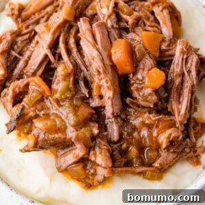 Shredded braised beef with carrots and spices served on a bed of mashed potatoes.