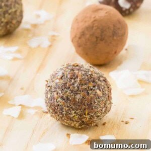 Nut-free chocolate coconut energy balls, a delicious and healthy snack option.