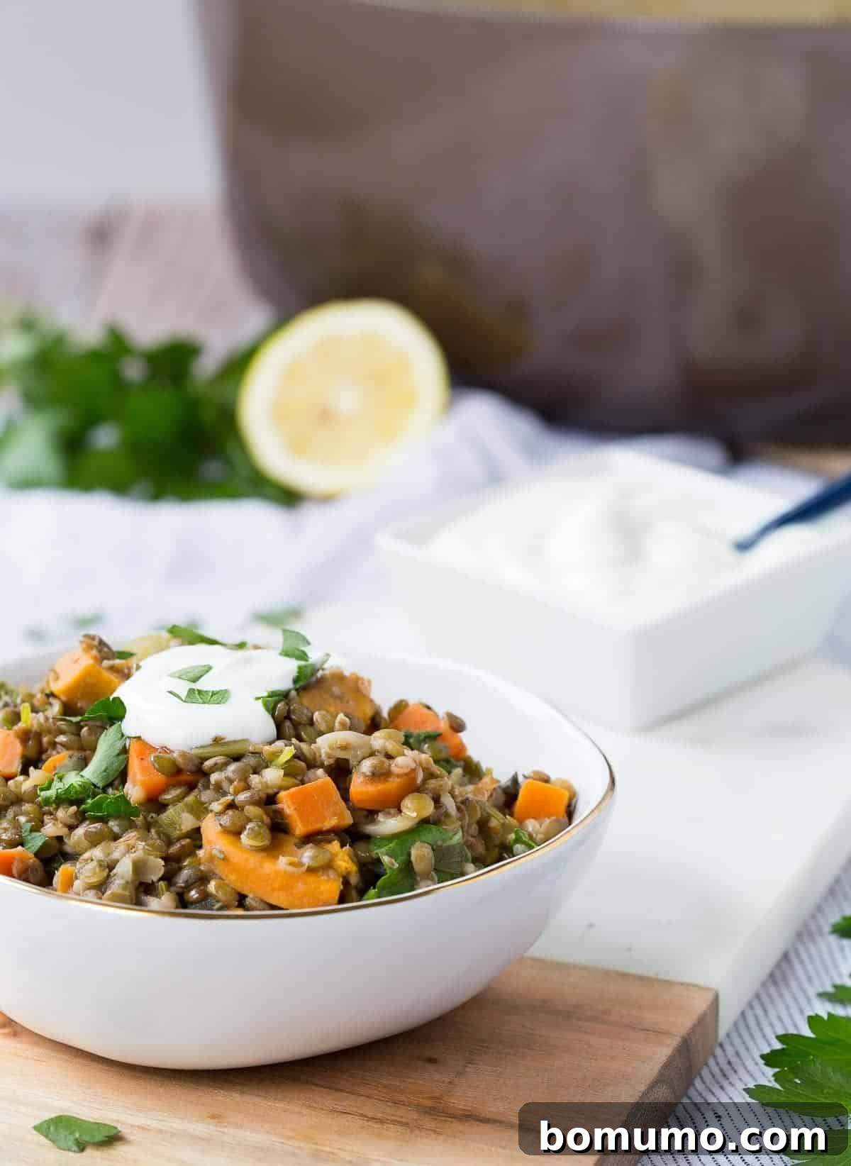 A beautifully presented bowl of hearty green lentil stew, adorned with fresh cilantro and a swirl of creamy Greek yogurt. The rich texture and vibrant colors promise a delicious and nutritious meal.