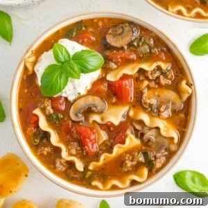 A heartwarming bowl of lasagna soup, beautifully garnished with a rich cheese topping and fresh herbs.