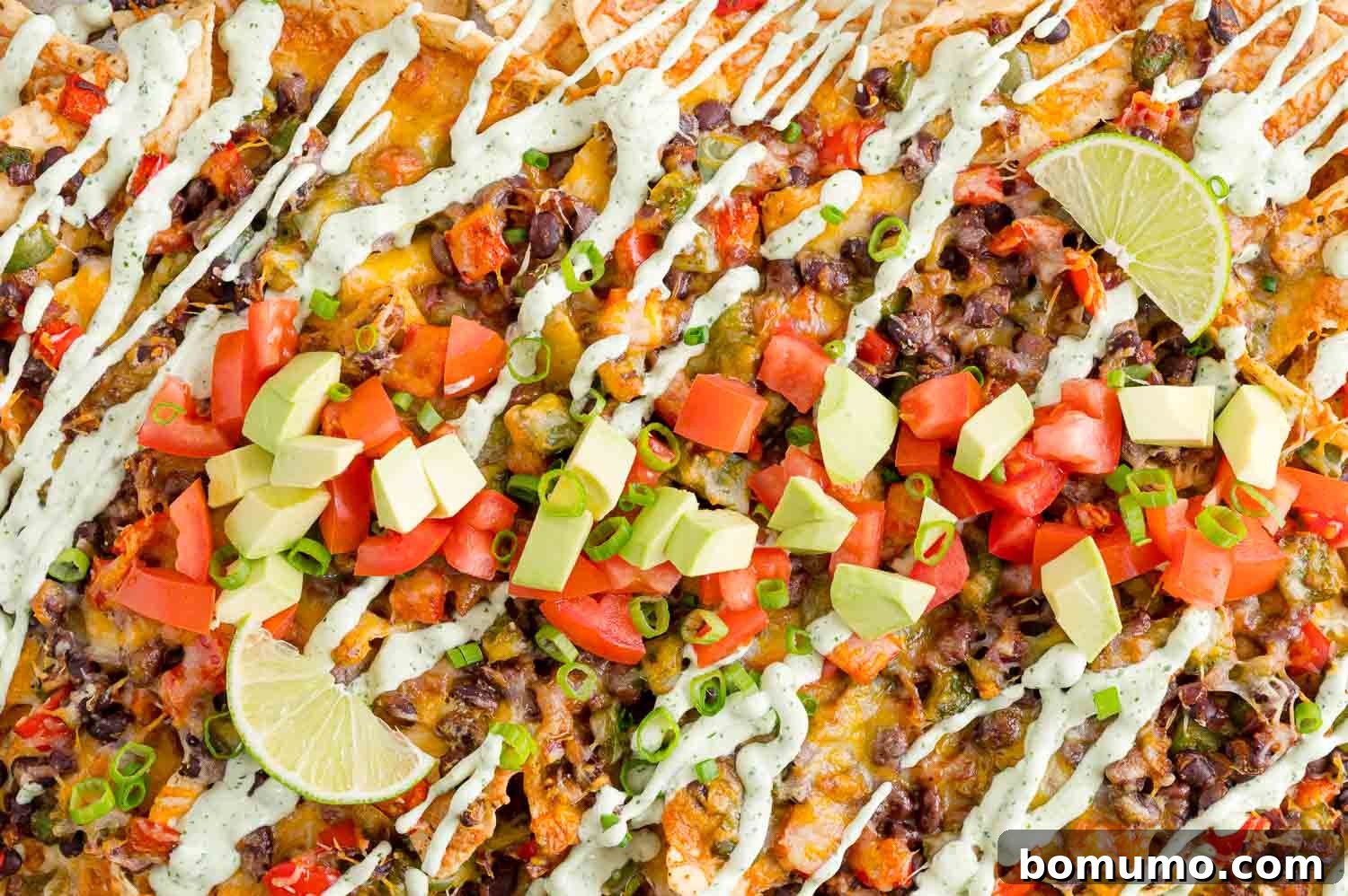 Completed nachos, filling the frame.