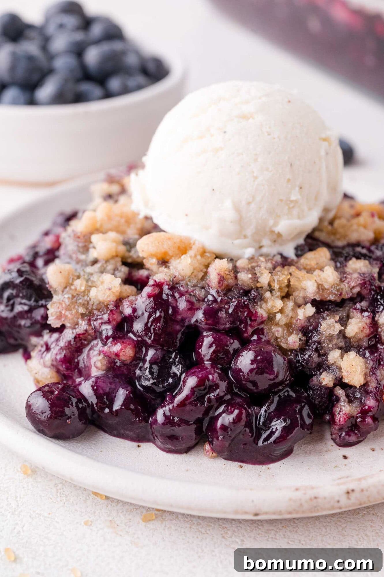 A serving of blueberry crumble topped with a scoop of vanilla ice cream on a white plate, with a bowl of fresh blueberries in the background. This image showcases the delicious texture and inviting presentation of a homemade blueberry crumble, perfect for a summer dessert.