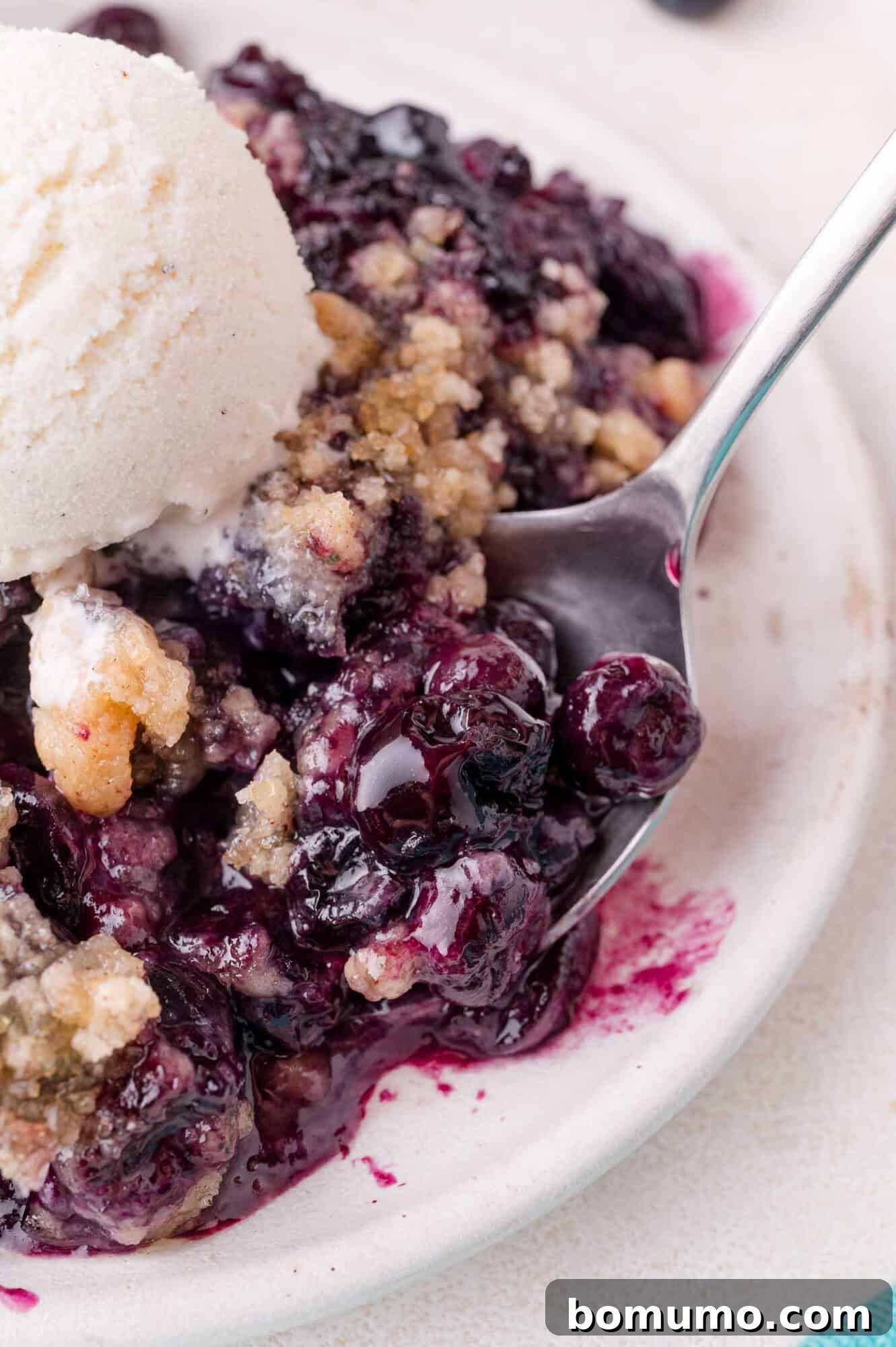 A close-up of a plate with blueberry crumble topped with a scoop of vanilla ice cream, with a spoon scooping up a portion. This image perfectly captures the classic pairing of warm crumble and cold ice cream.
