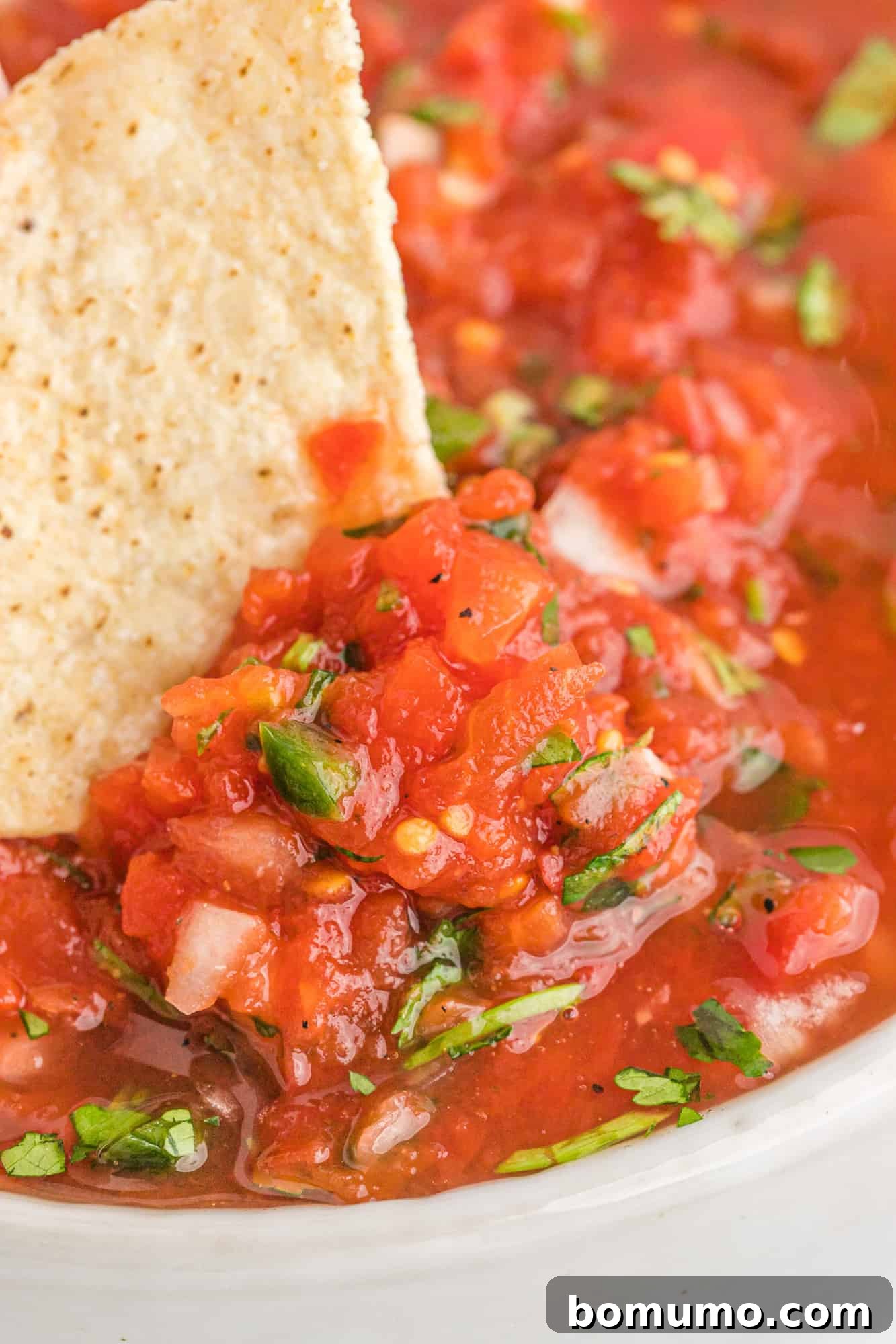 Close-up of vibrant red restaurant style salsa on a crispy tortilla chip.