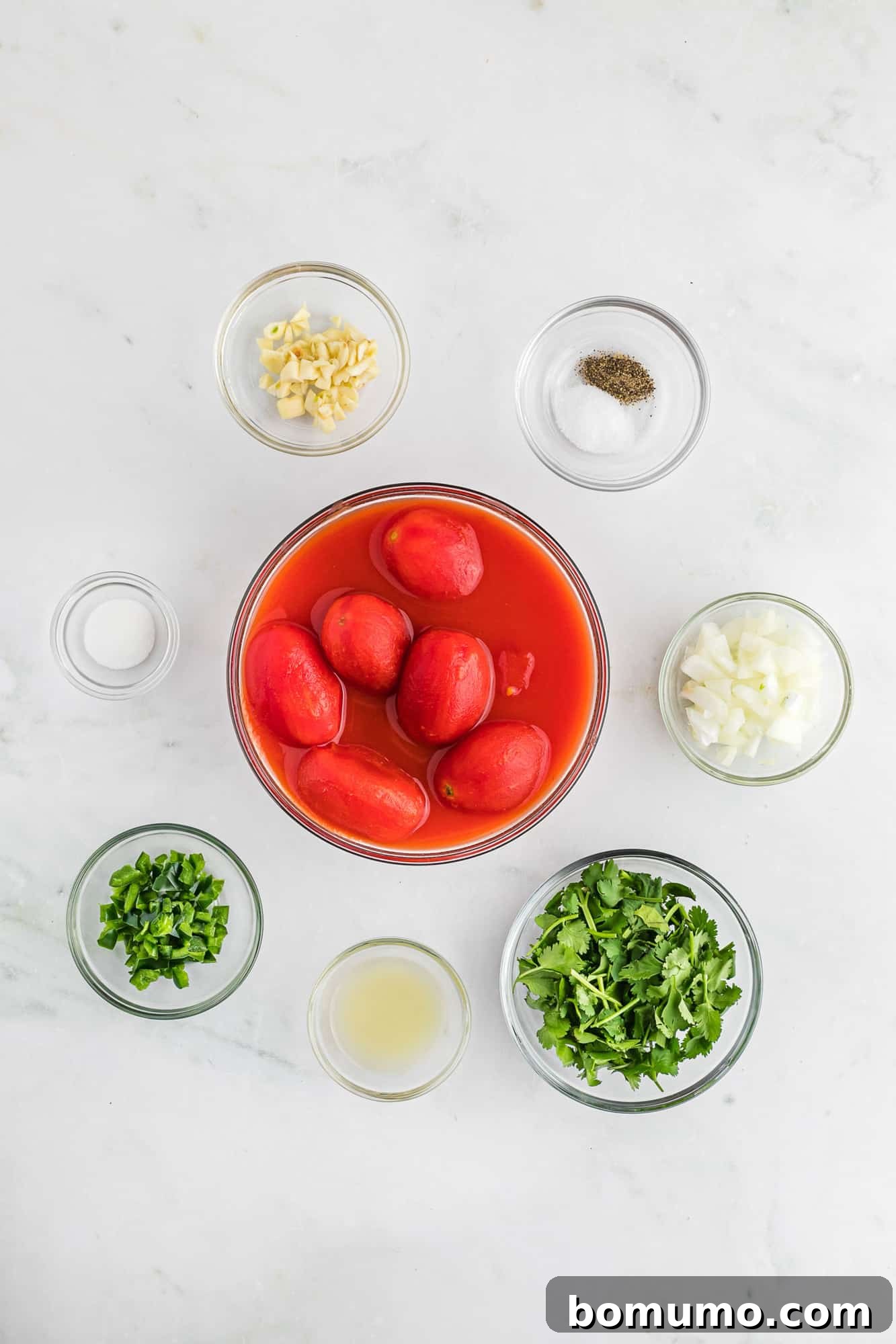 Individual ingredients for salsa including whole canned tomatoes, jalapeño, onion, garlic, cilantro, and lime in separate small glass bowls.