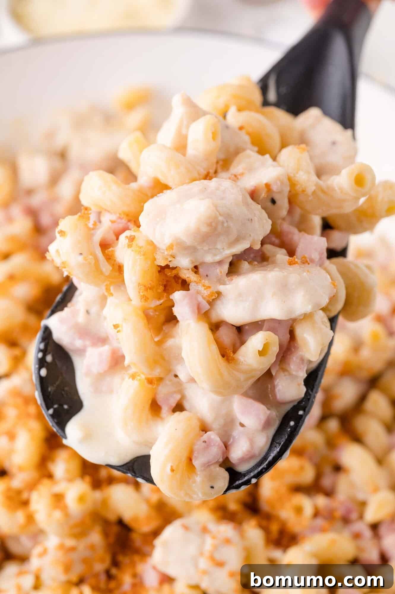 A generous serving of creamy chicken cordon bleu pasta, adorned with golden-brown breadcrumbs, nestled in a pristine white bowl. Diced ham and succulent chicken pieces are visible throughout the rich sauce.
