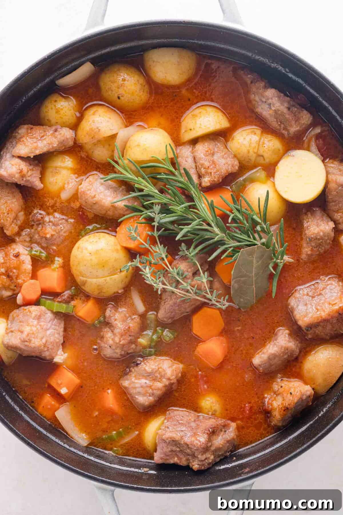 Tender Pork Ragout 15 A pot of hearty pork stew with chunks of pork, baby potatoes, carrots, and fragrant herbs in a rich broth, garnished with fresh sprigs of rosemary and a bay leaf, simmering gently.