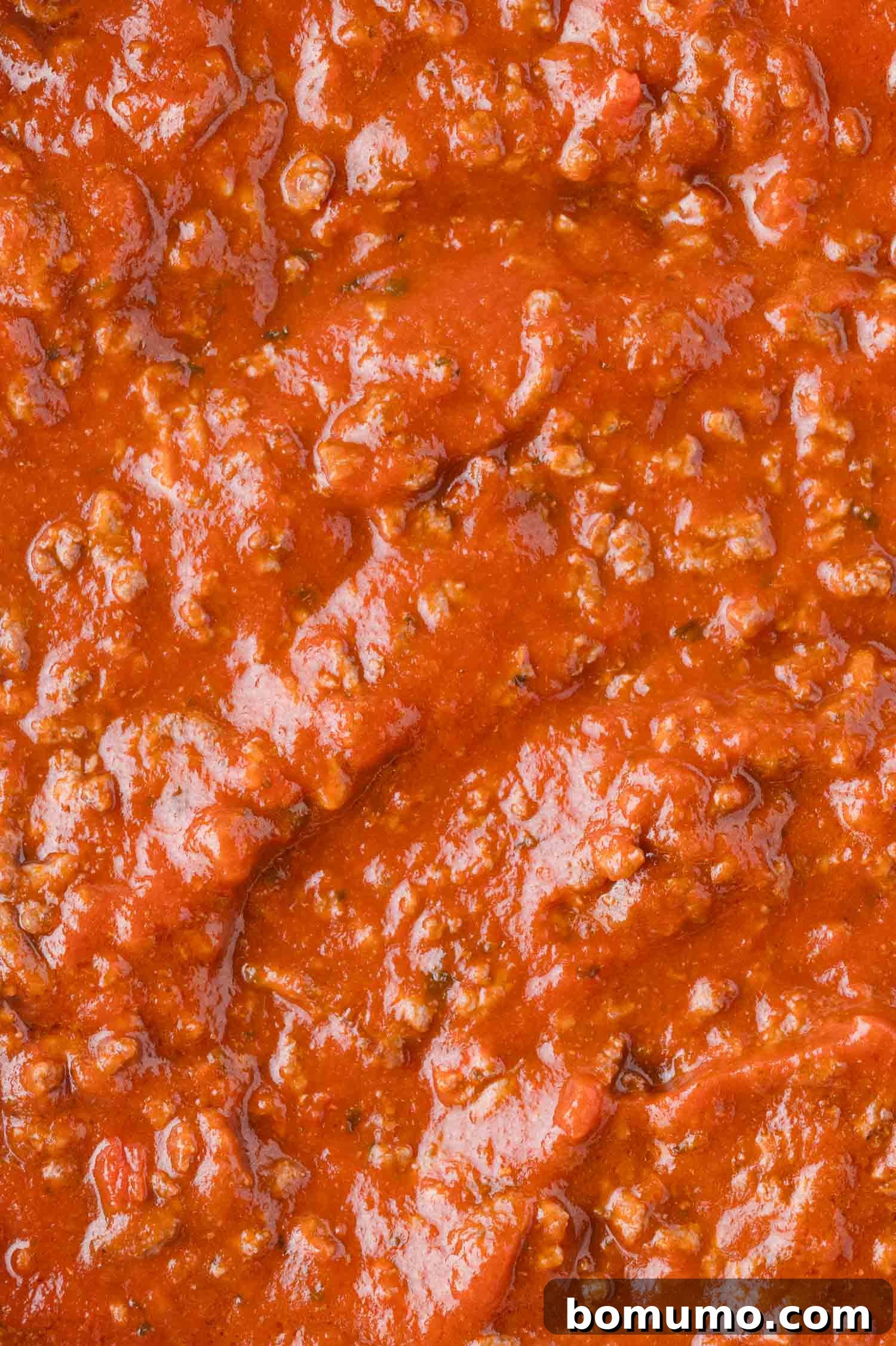 A detailed shot of a thick, hearty red tomato sauce, rich with visible pieces of ground meat and fragrant green herbs, highlighting its robust texture and homemade appeal.