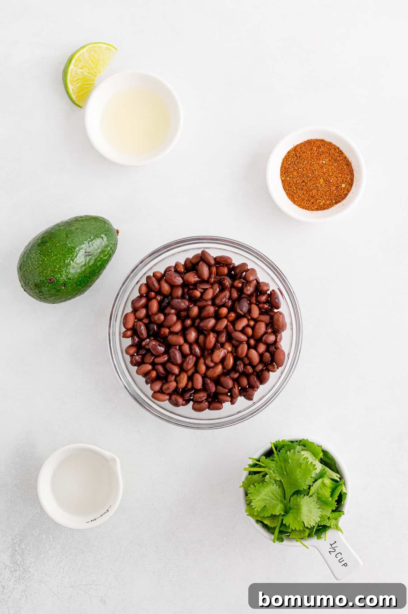 Assortment of fresh ingredients for black bean dip, including a bowl of black beans, ready for preparation.