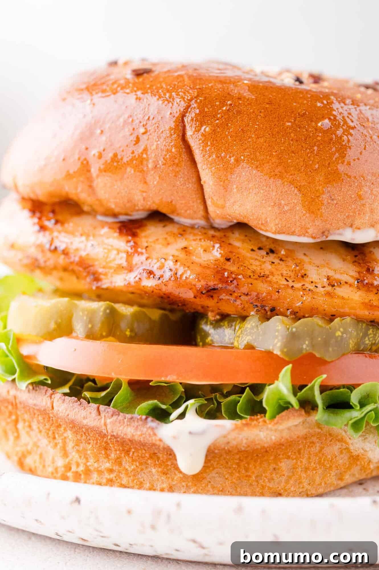 Close-up of a perfectly grilled chicken sandwich featuring crisp lettuce, ripe tomato slices, tangy pickles, and a creamy sauce on a toasted brioche bun.