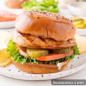 Grilled chicken sandwich with lettuce, tomato, pickles, and sauce on a seeded bun, served with potato chips on a white plate.