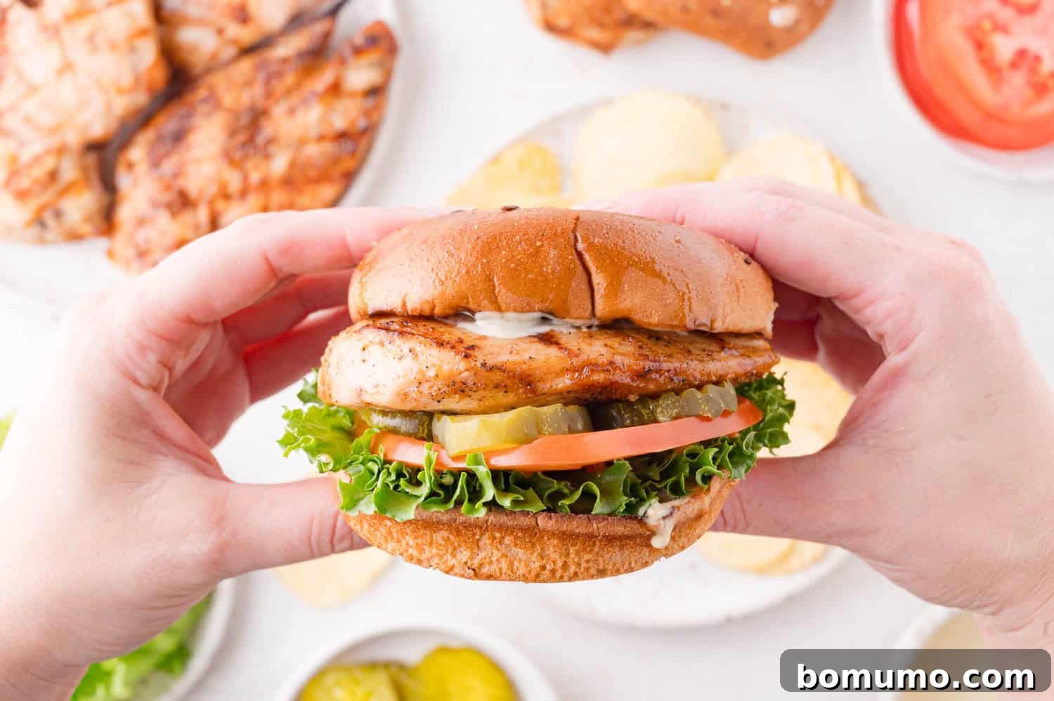 A hand presents a juicy grilled chicken sandwich, layered with fresh lettuce, a thick slice of tomato, crisp pickles, and our signature sauce, all nestled within a toasted bun. In the background, platters of grilled chicken and potato chips await.