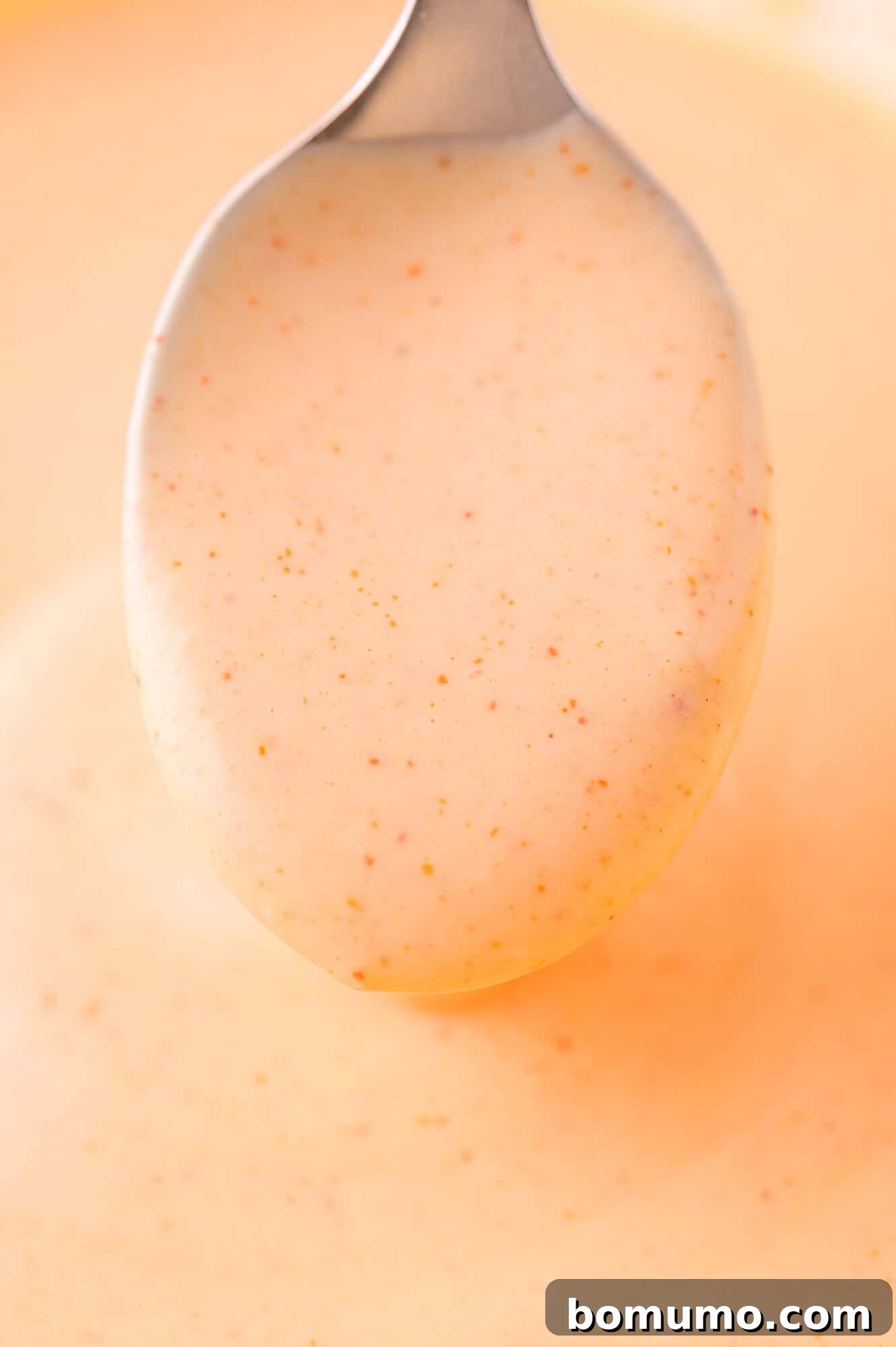 A close-up of a spoon holding a creamy, orange-colored yum yum sauce with visible specks of seasoning.