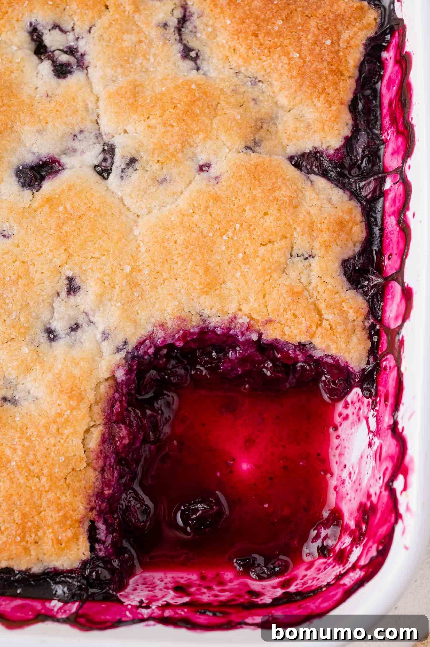 A captivating close-up of a freshly baked blueberry cobbler nestled in a white dish, with a portion thoughtfully scooped out. This reveals the vibrant dark purple fruit filling peeking from beneath its golden-brown, inviting crust.