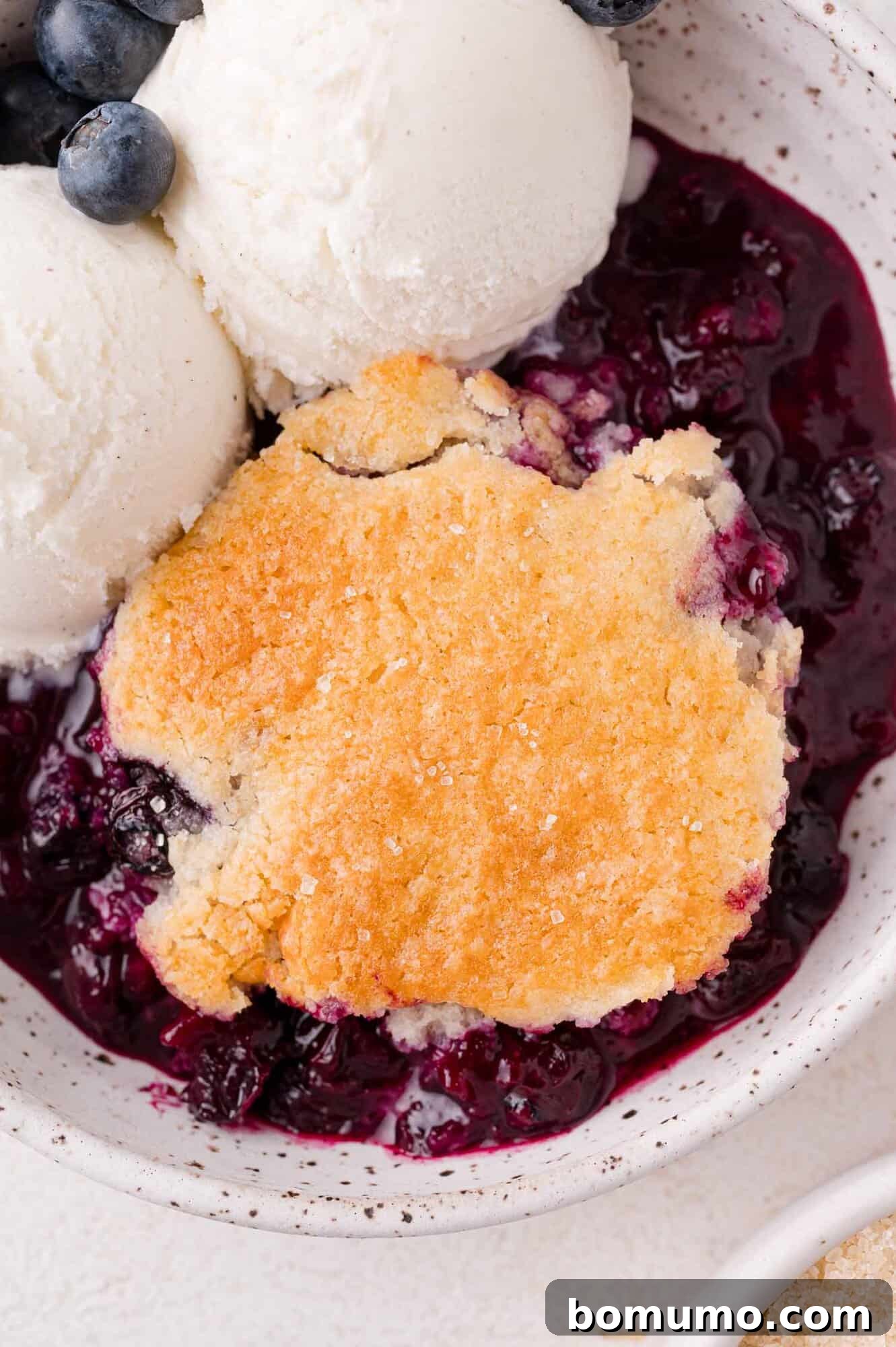 A perfectly portioned serving of blueberry cobbler, crowned with a crisp, golden crust and adorned with two scoops of creamy vanilla ice cream, garnished with fresh blueberries, all presented in a pristine white bowl.