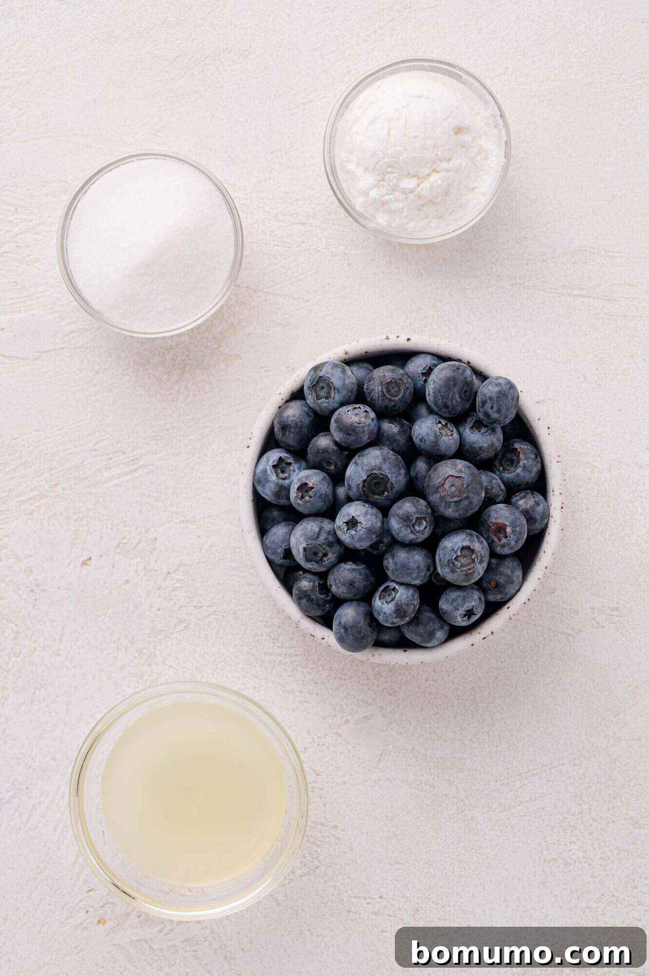 A curated display of fresh blueberries, a small bowl of granulated sugar, a tiny bowl of cornstarch, and a measuring cup of fresh lemon juice, all arranged on a pristine light surface.