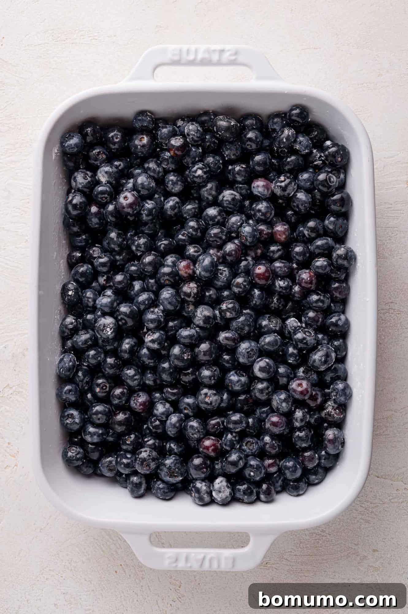 A pristine white rectangular baking dish, now holding an evenly distributed layer of fresh, plump blueberries, awaiting the delicious cobbler topping.