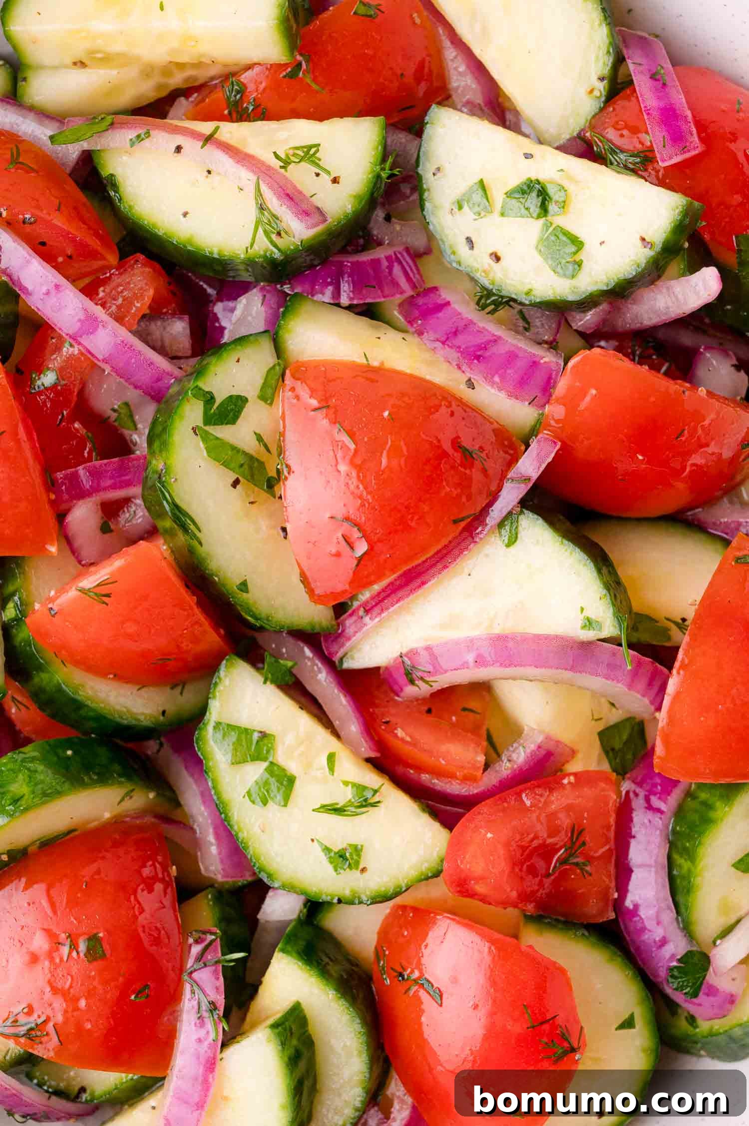 Close-up of a fresh salad with sliced cucumbers, tomatoes, red onions, and herbs, lightly coated with dressing.