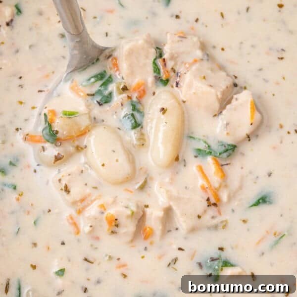 Gnocchi Soup