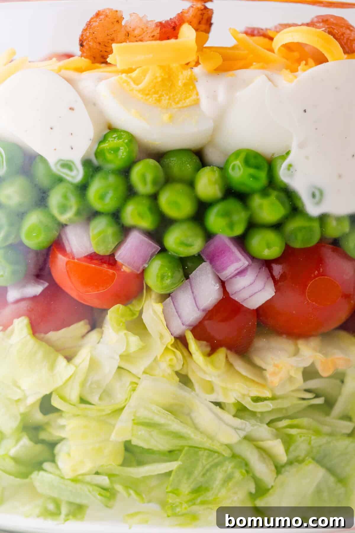 Stacked Garden Bliss 3 A close-up shot of the perfectly distinct layers within a 7 layer salad, highlighting fresh chopped lettuce, vibrant cherry tomatoes, thinly sliced red onions, bright green peas, a creamy dressing layer, generously shredded cheddar cheese, and a garnish of crispy bacon bits.