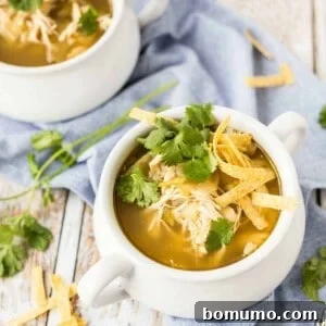 Overhead view of white soup bowls containing chicken enchilada soup with garnishes.