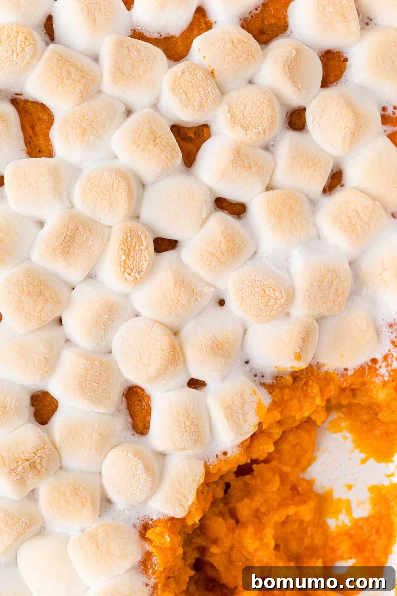 A single scoop removed from a sweet potato casserole topped with marshmallows, revealing the creamy texture beneath and inviting a taste.