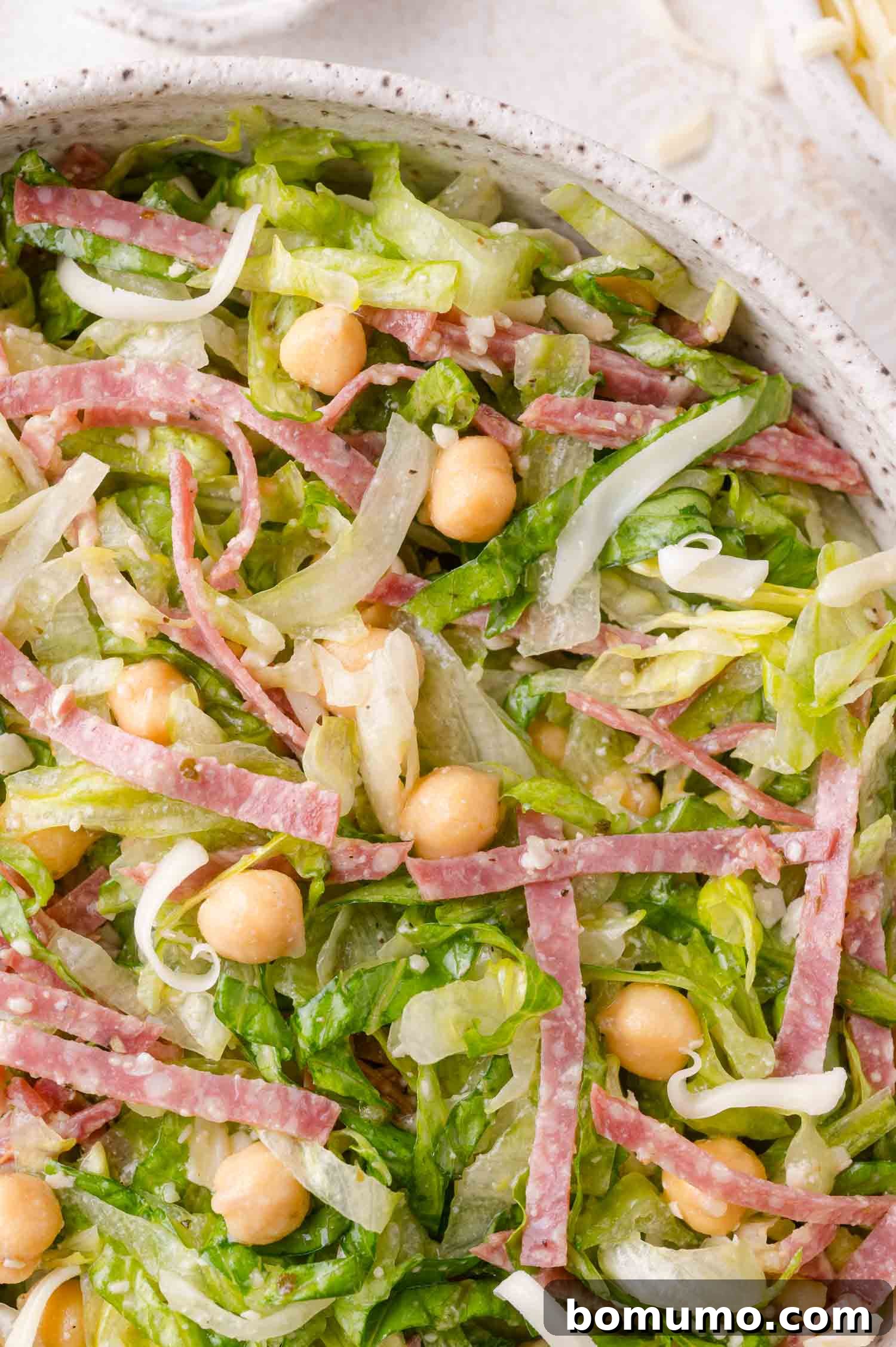 A detailed close-up of the finished La Scala salad, showcasing the intricate blend of thinly sliced salami, plump chickpeas, finely shredded lettuce, and delicate red onion slivers, all presented in a distinctive speckled bowl.