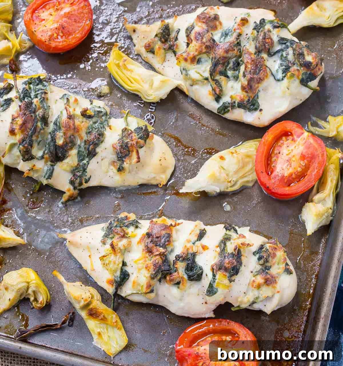 Overhead view of perfectly stuffed Hasselback chicken breasts on a sheet pan, surrounded by vibrant roasted tomatoes and tender artichoke hearts, ready to be served.