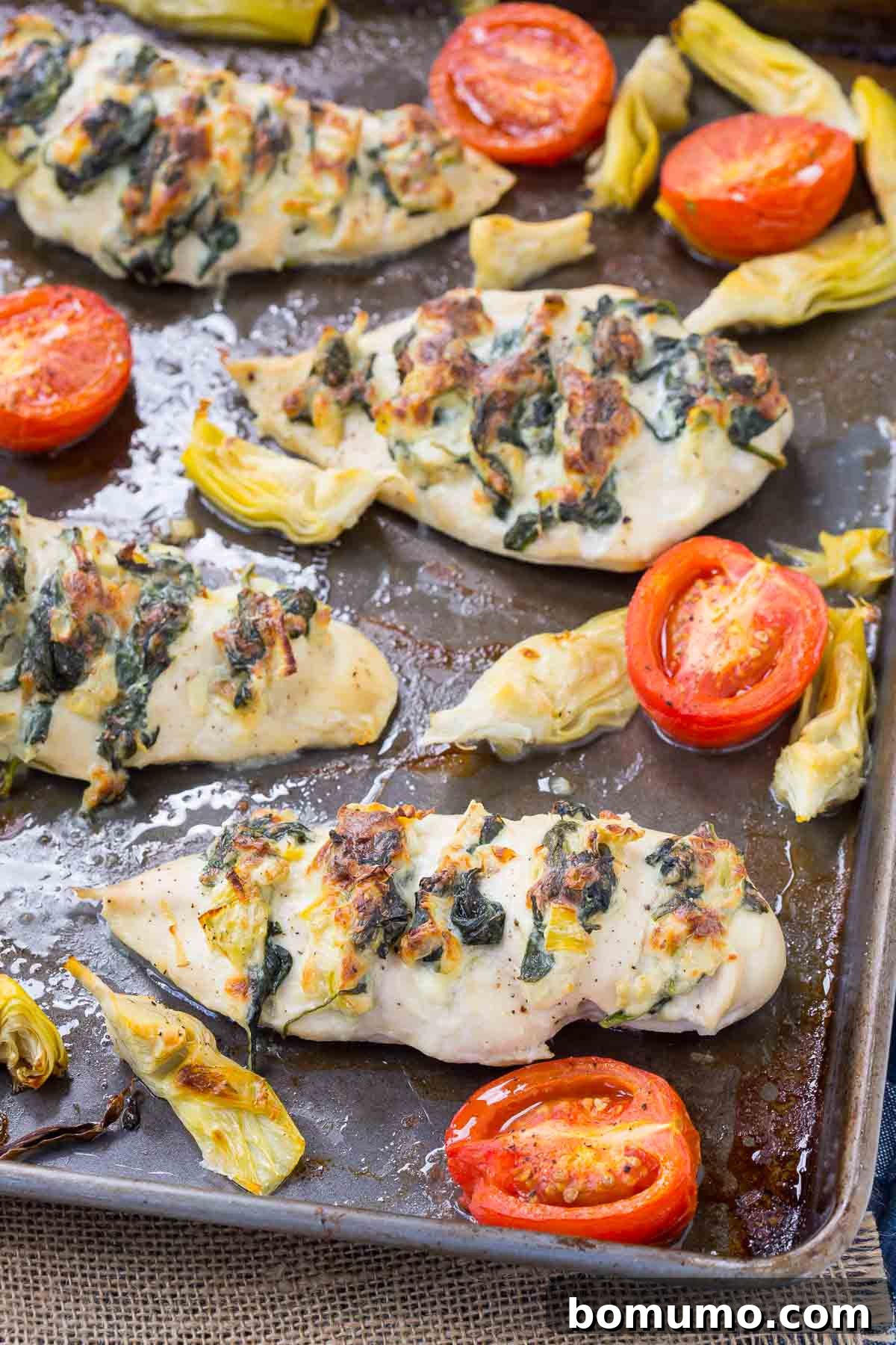 Overhead shot of a full sheet pan featuring four Hasselback chicken breasts filled with spinach and artichoke, alongside roasted tomatoes and artichoke hearts, ready for serving.