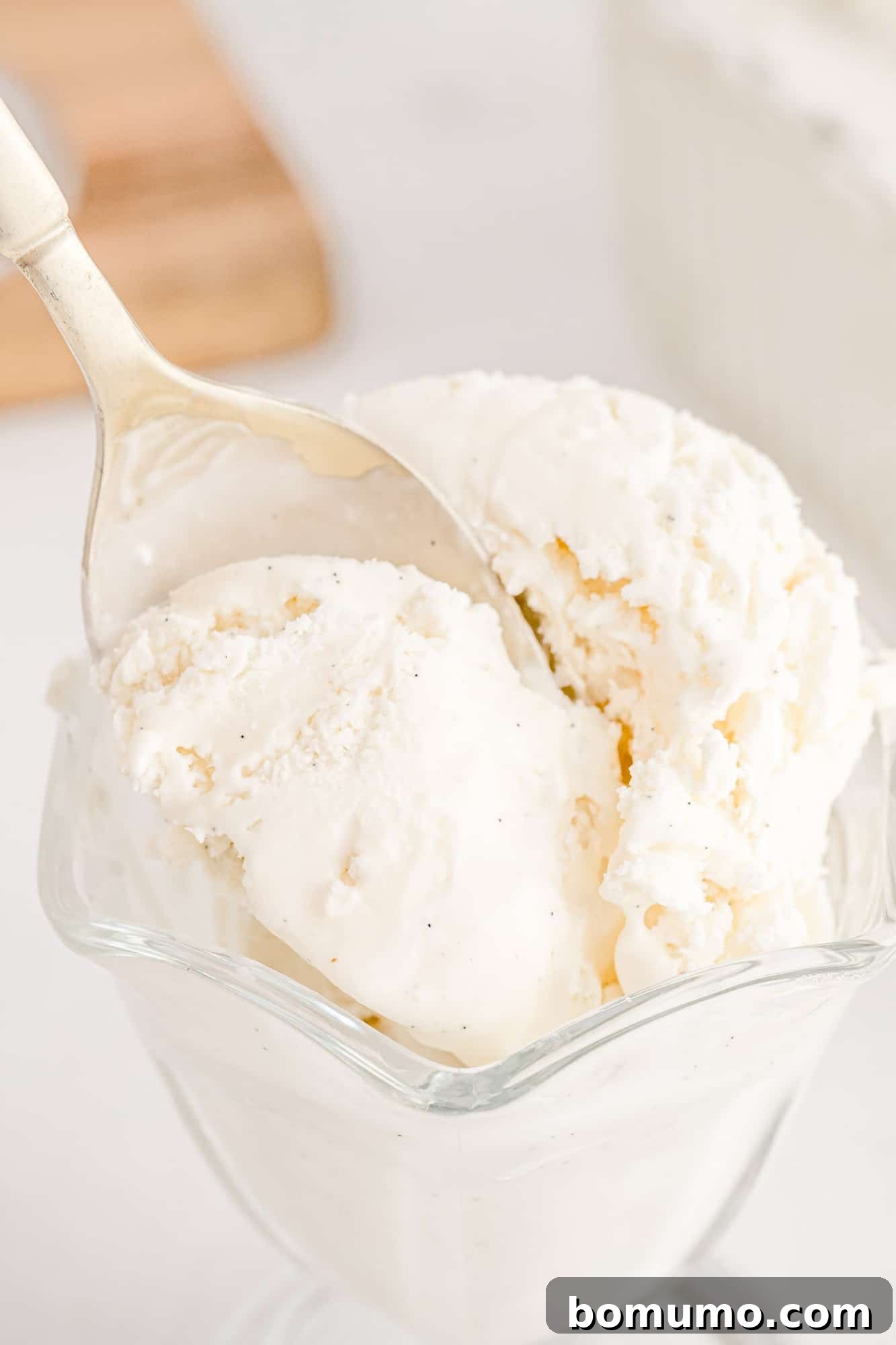 Velvet Vanilla Bliss 7 A spoonful of creamy, homemade vanilla ice cream, showing off its smooth texture and flecks of vanilla bean.