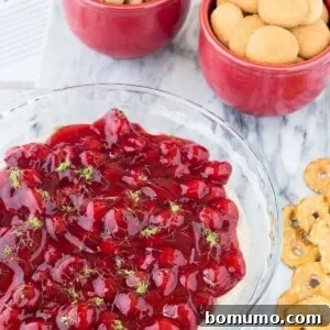 This cherry cheesecake dip with lime is going to become a party favorite. It takes only minutes to make and has fresh and bright flavors thanks to lime juice and zest. Get the easy no-bake dessert recipe on RachelCooks.com! This sweet dip is going to go into regular rotation.
