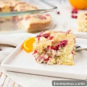 A delicious serving of cranberry coffee cake on a square white plate, with the full baking pan visible in the background.