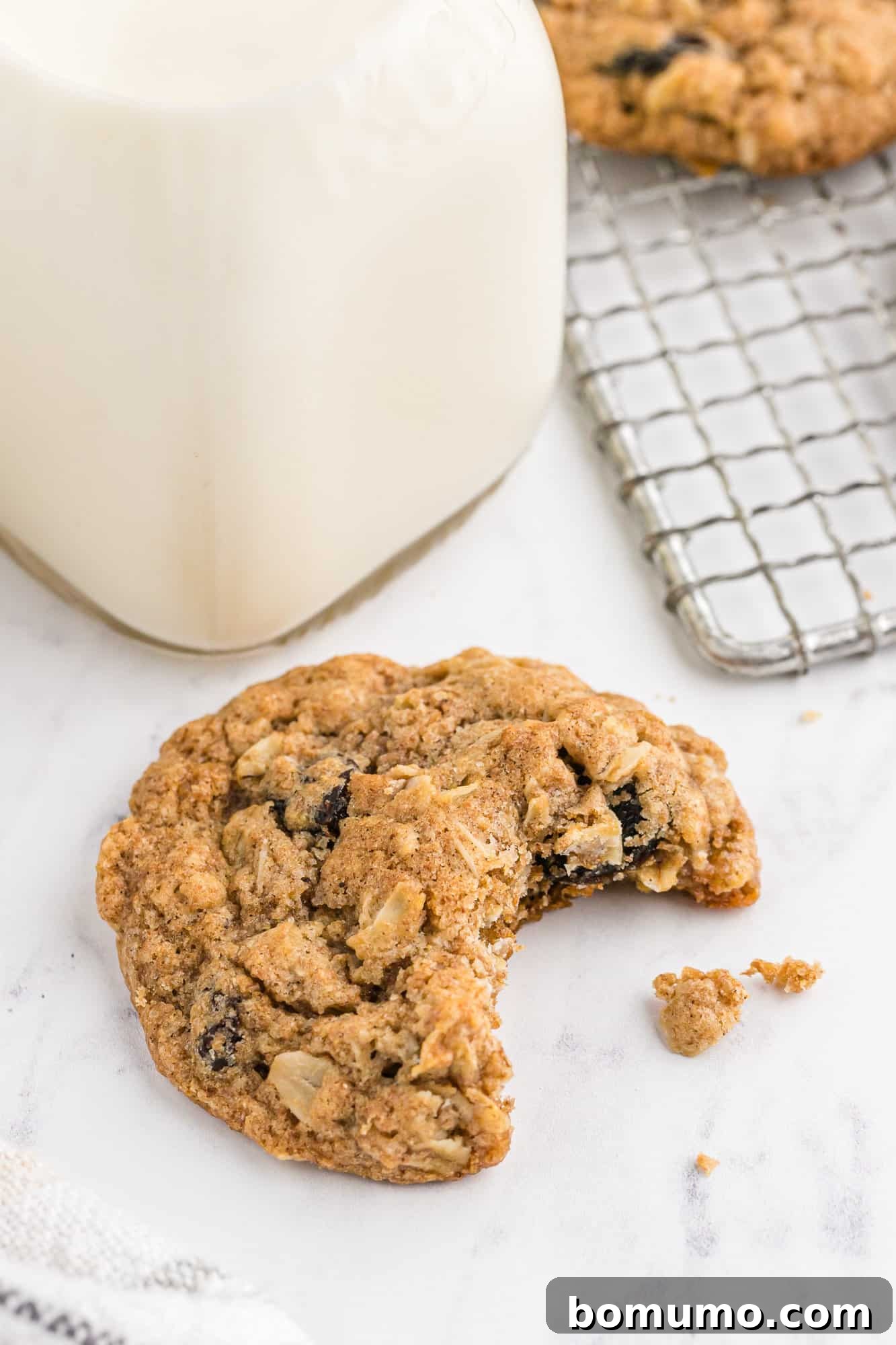 A delicious oatmeal raisin cookie with a bite taken from it, showcasing its chewy texture.