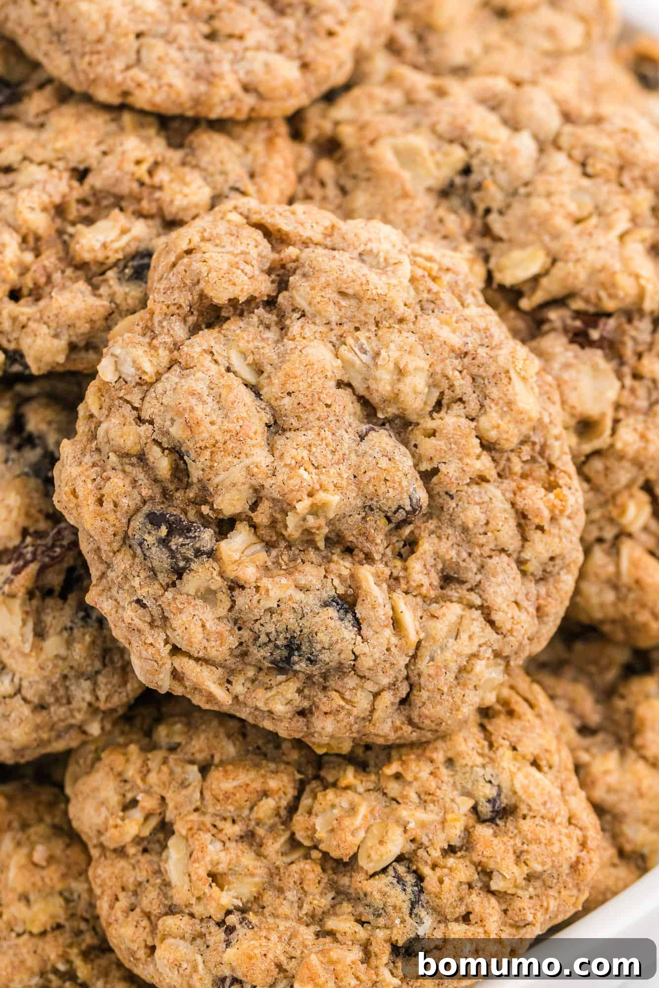 A generous pile of freshly baked oatmeal raisin cookies, ready to be enjoyed or shared.