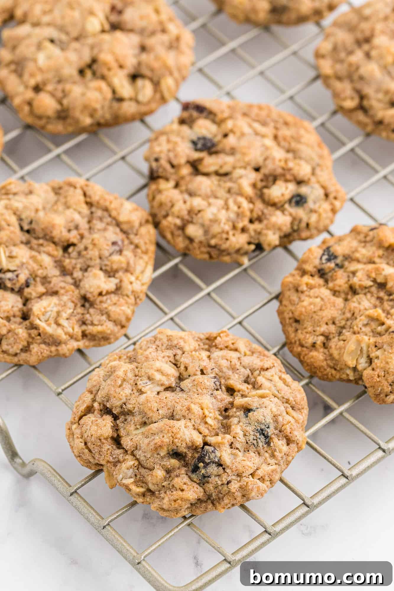A stack of perfectly baked oatmeal raisin cookies cooling on a metal wire rack.