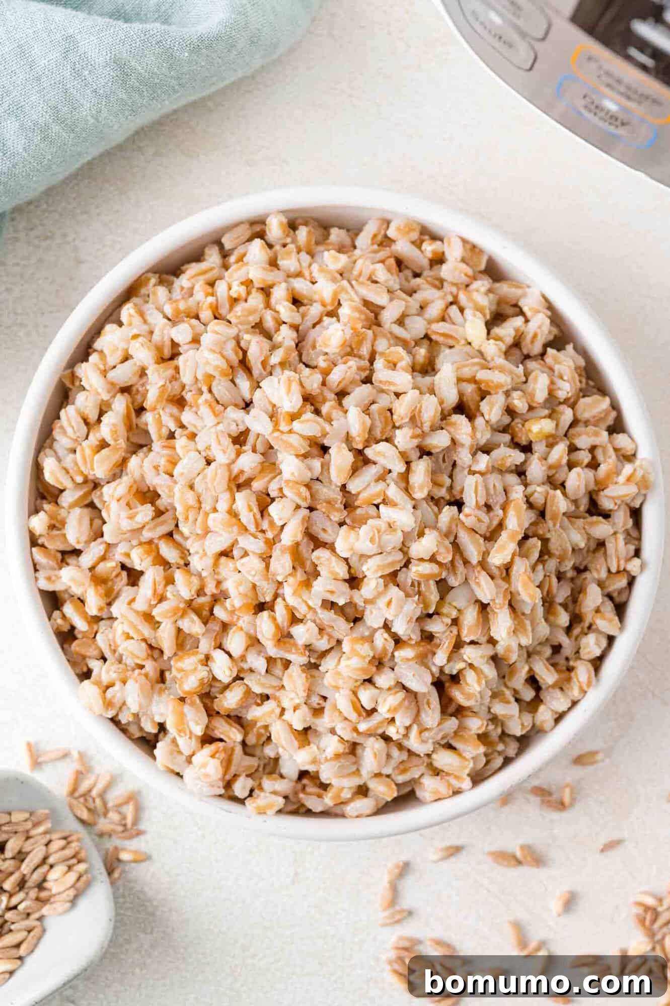 Effortless Instant Pot Farro 11 Overhead view of perfectly cooked farro in a large white bowl, presented on a minimalist white surface.