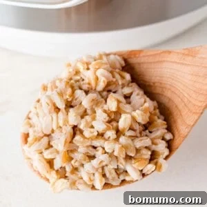 Instant Pot farro on a large wooden spoon in front of the pressure cooker, showcasing its ideal texture.
