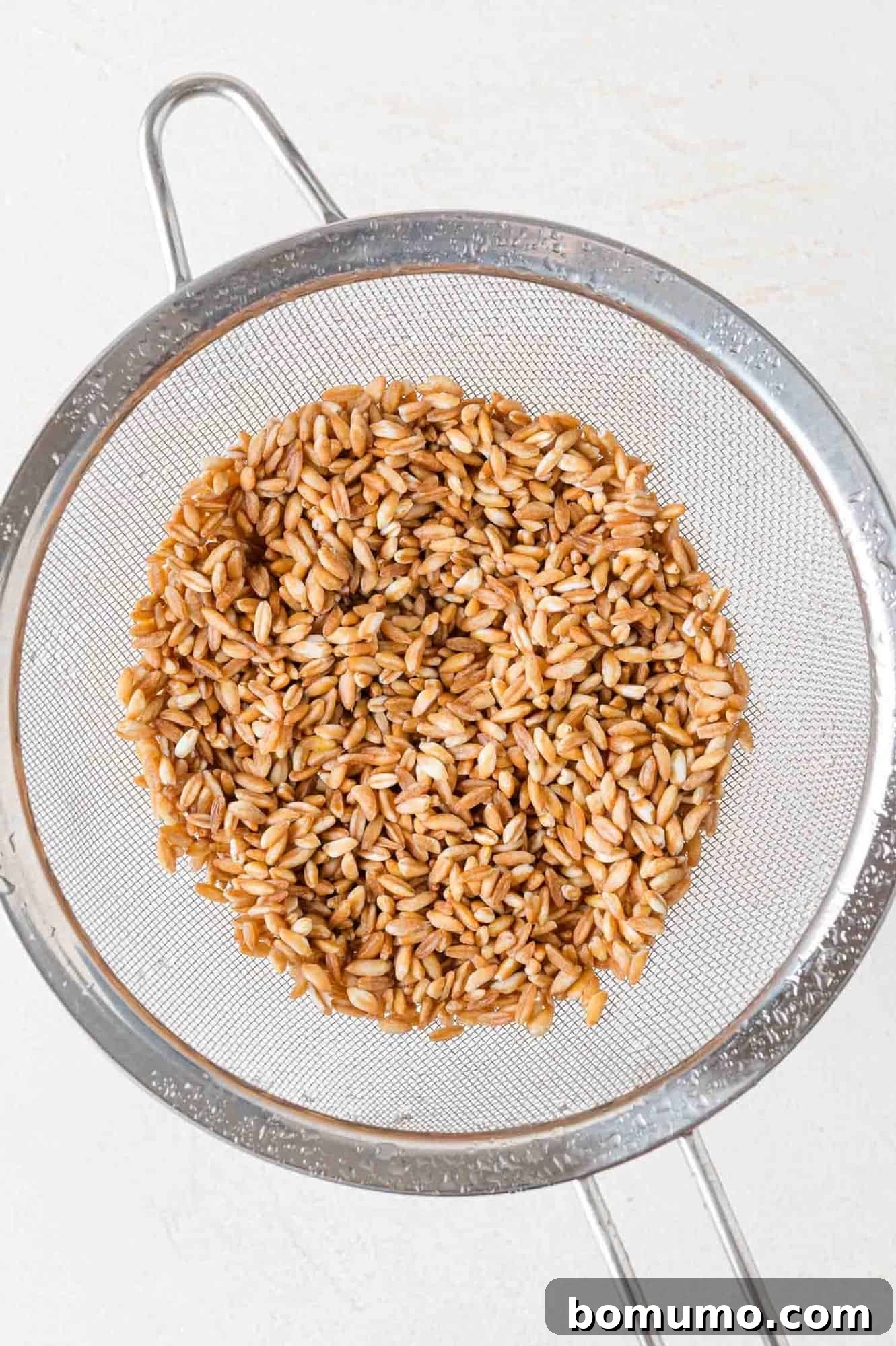 Effortless Instant Pot Farro 6 Uncooked farro in a fine mesh strainer being rinsed under cold water.