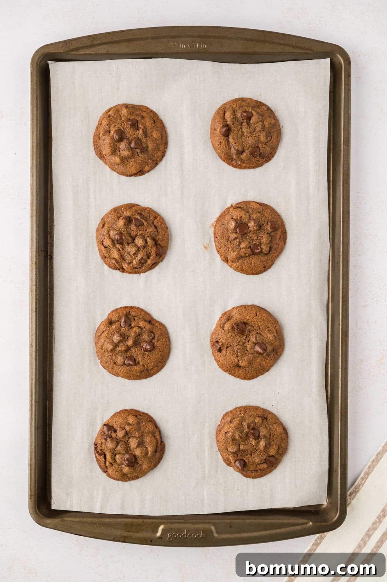 Freshly baked coffee cookies, still warm, cooling on the cookie sheet right out of the oven.
