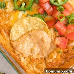 Refried bean dip with a chip being dipped in it.